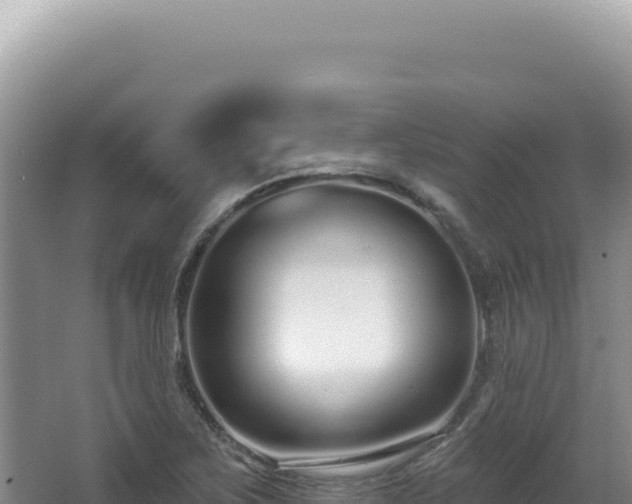 X0000062861267200601171528