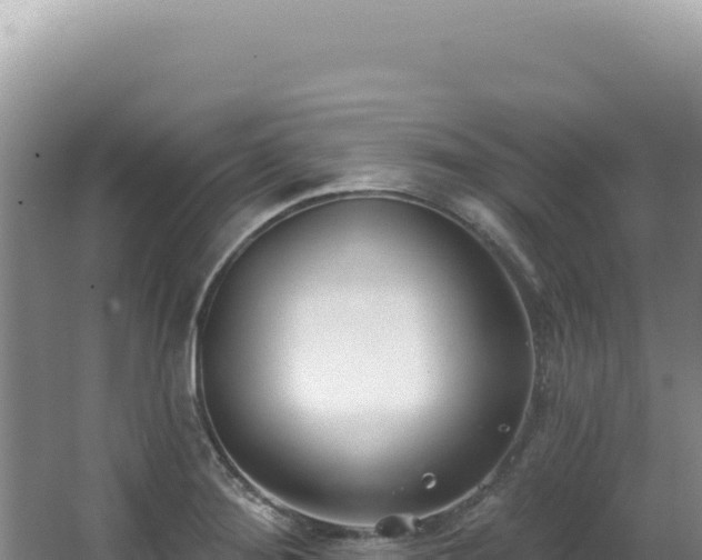 X0000062861276200601171527