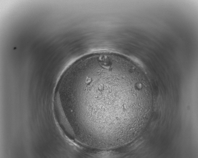 X0000062861279200601171527