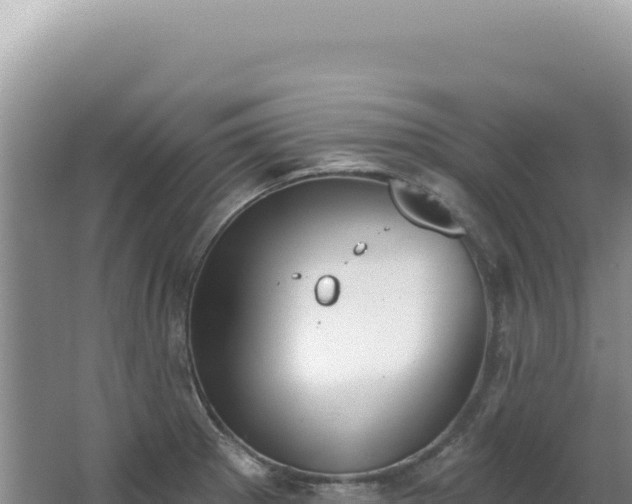 X0000062861281200601171527