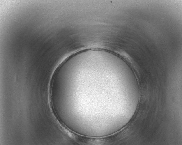 X0000062861286200601171527