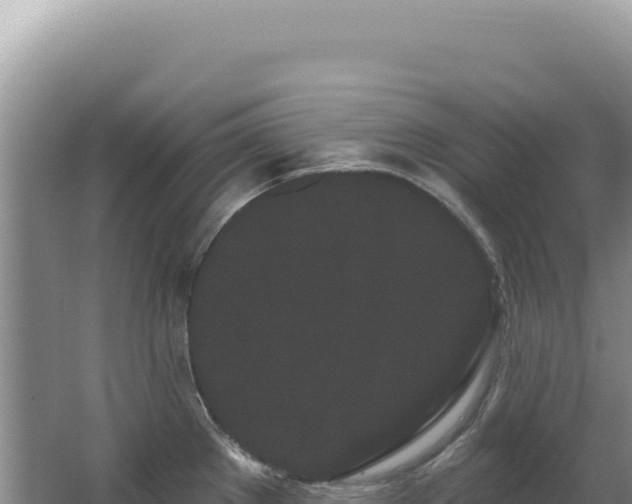 X0000062861289200601171527