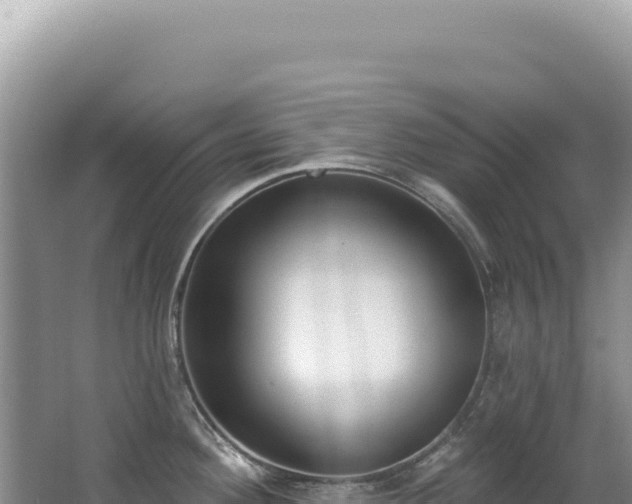 X0000062861292200601171527