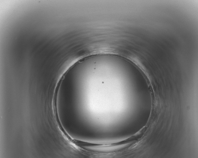 X0000062861293200601171527