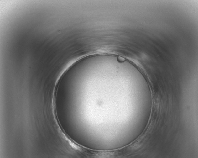 X0000062861294200601171527