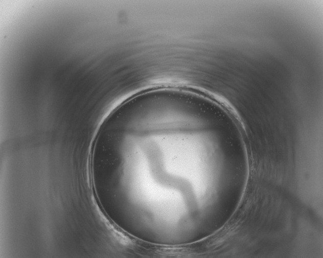 X0000062861295200601171527