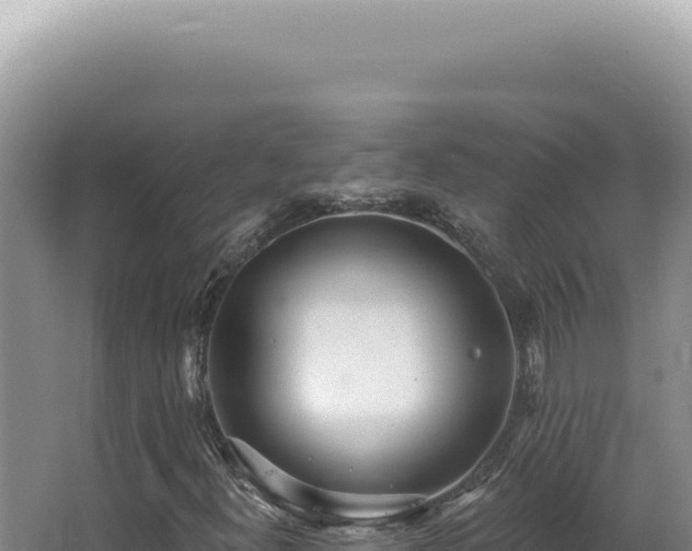 X0000062861300200601171526