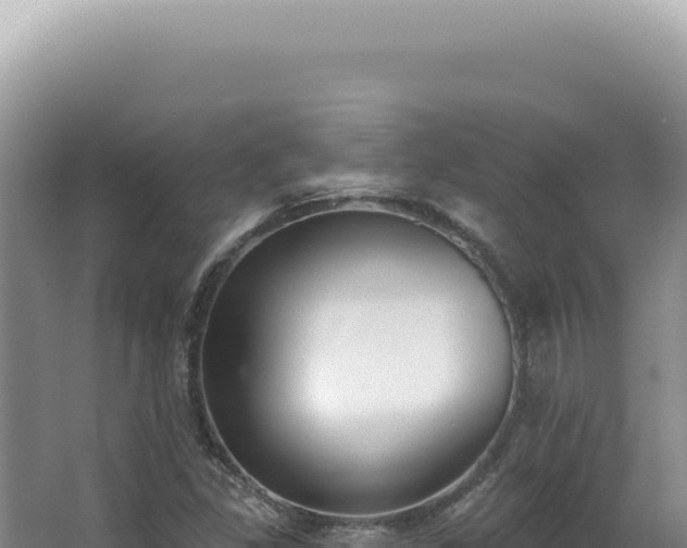 X0000062861309200601171527