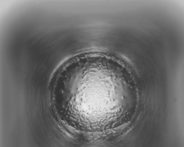 X0000062861310200601171527