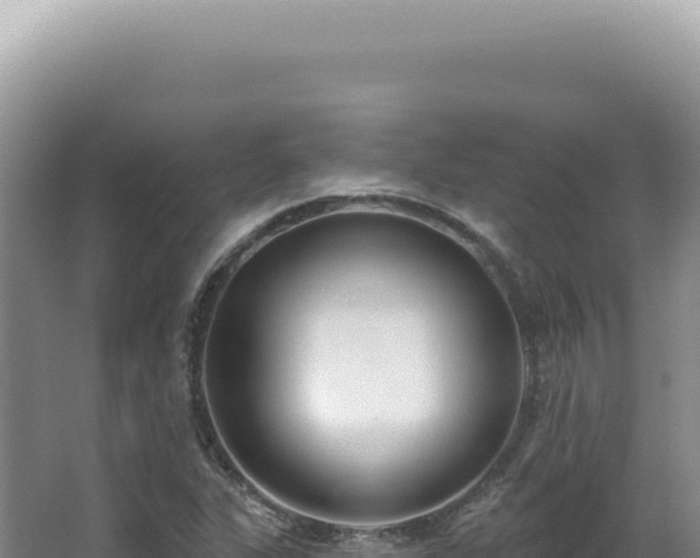 X0000062861311200601171527