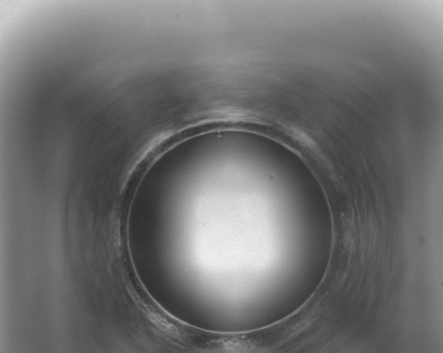 X0000062861318200601171527