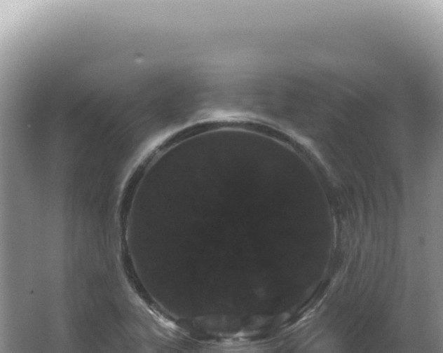 X0000062861319200601171527