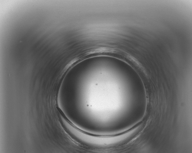 X0000062861321200601171527