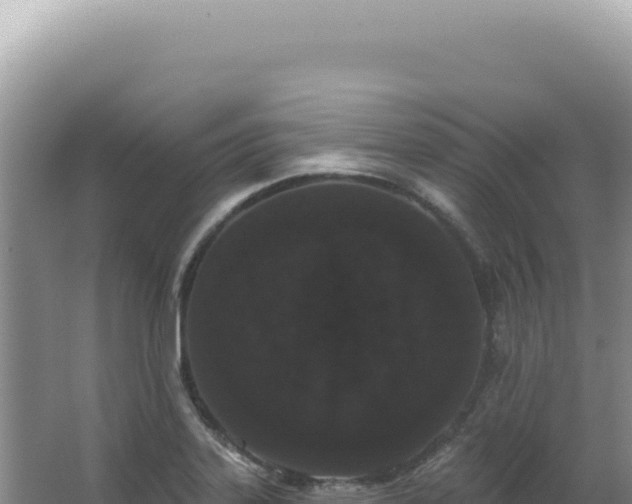 X0000062861323200601171527