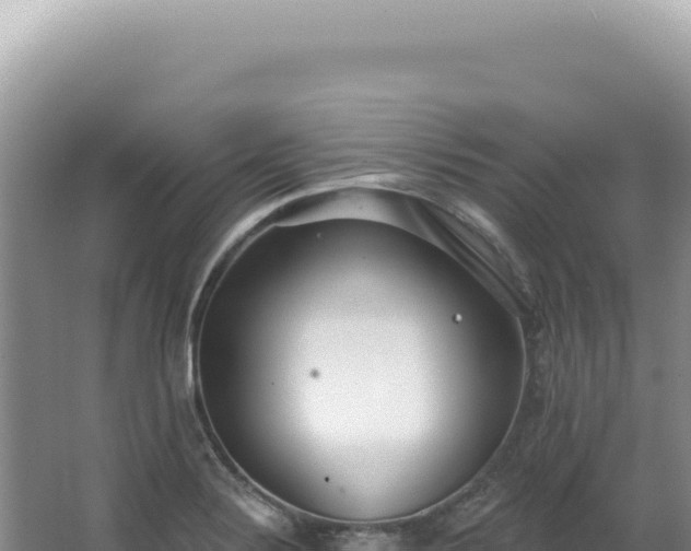 X0000062861324200601171527