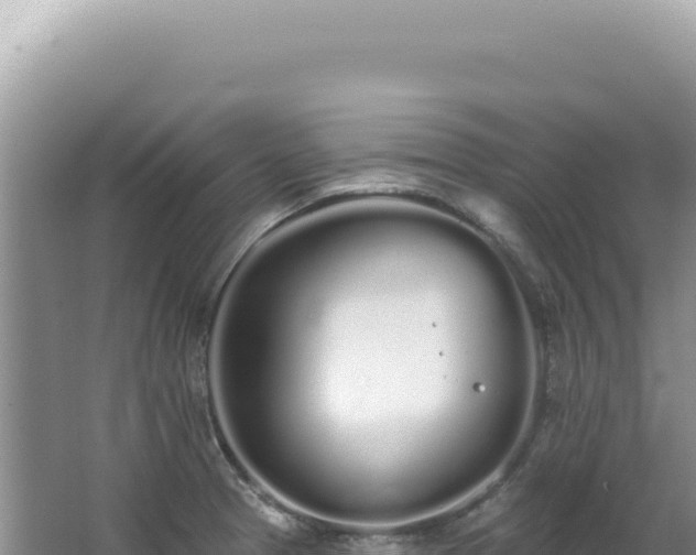 X0000062861329200601171527