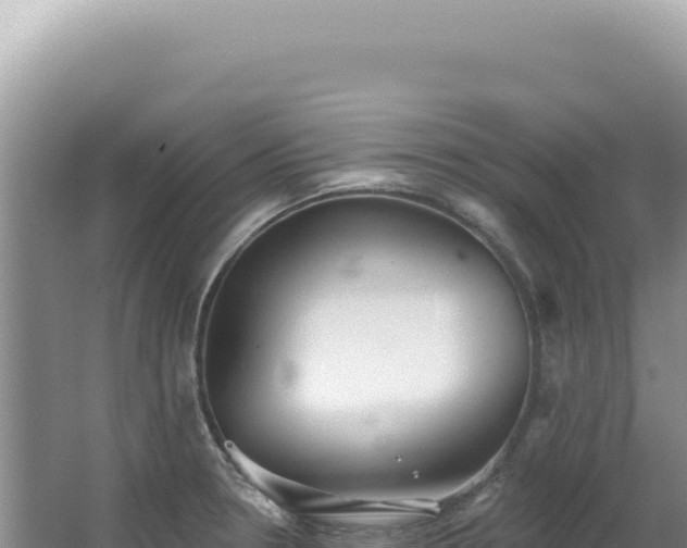 X0000062861330200601171527