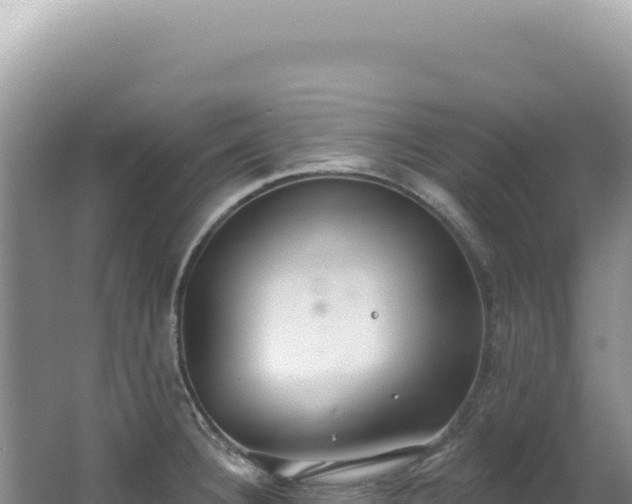 X0000062861332200601171527