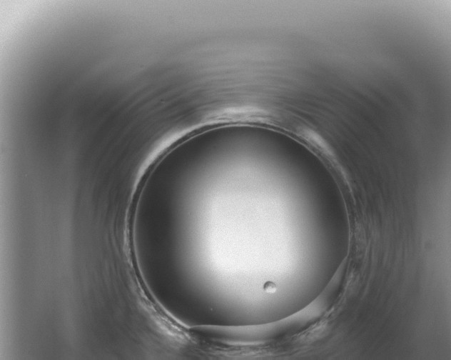 X0000062861336200601171527