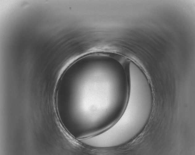 X0000062861344200601171527