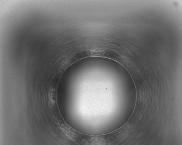 X0000062861346200601171526