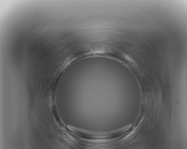 X0000062861353200601171526