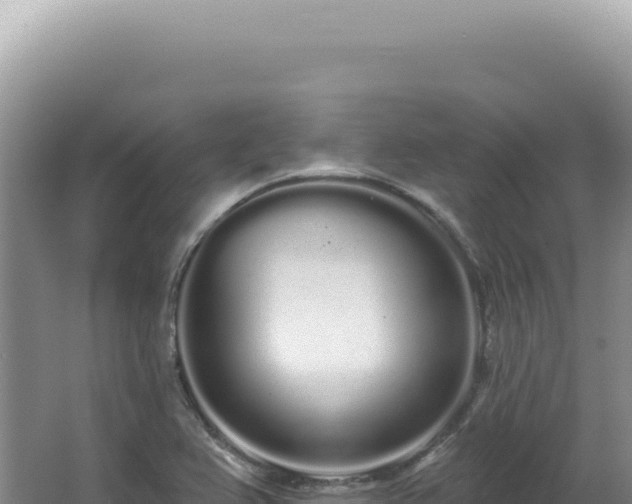 X0000062861367200601171526