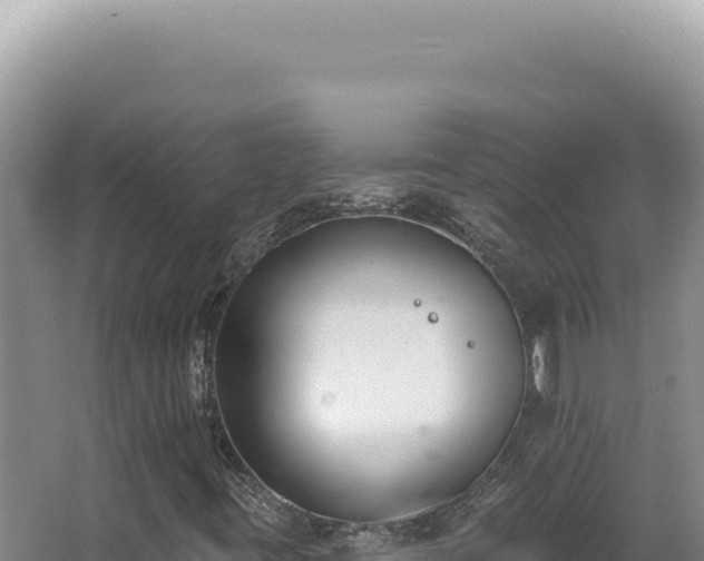 X0000062861395200601171525