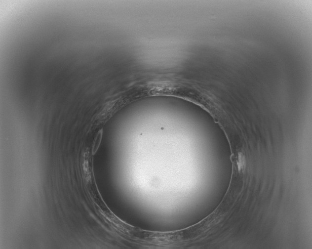 X0000062861396200601171525