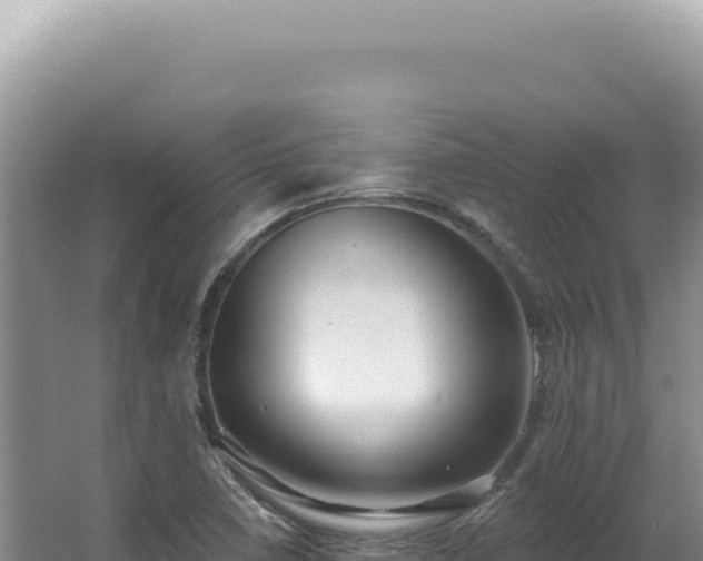 X0000062861410200601171525