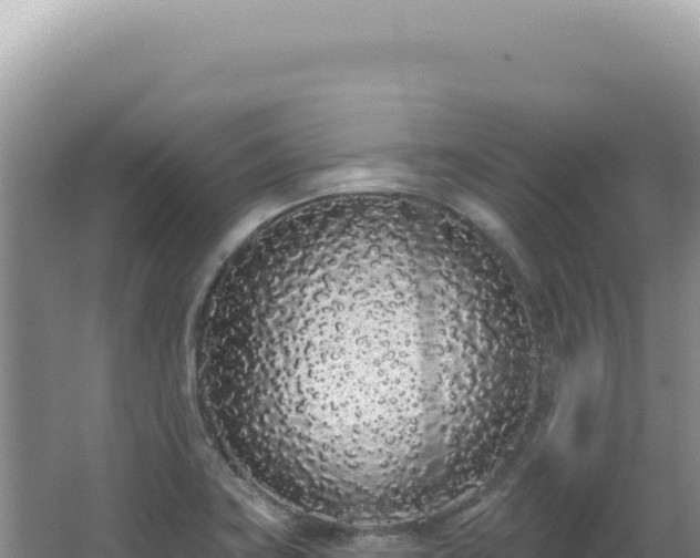 X0000062861419200601171525