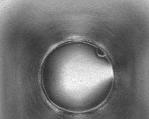 X0000062861421200601171525