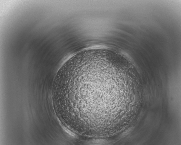 X0000062861425200601171525