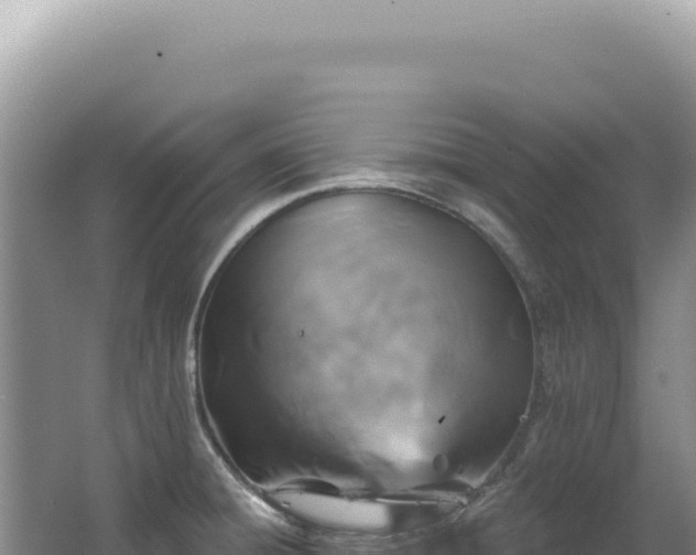 X0000062861428200601171525