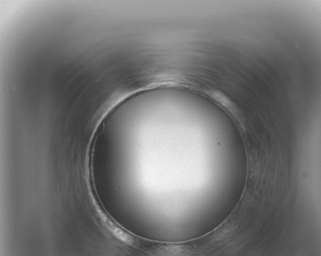 X0000062861431200601171525