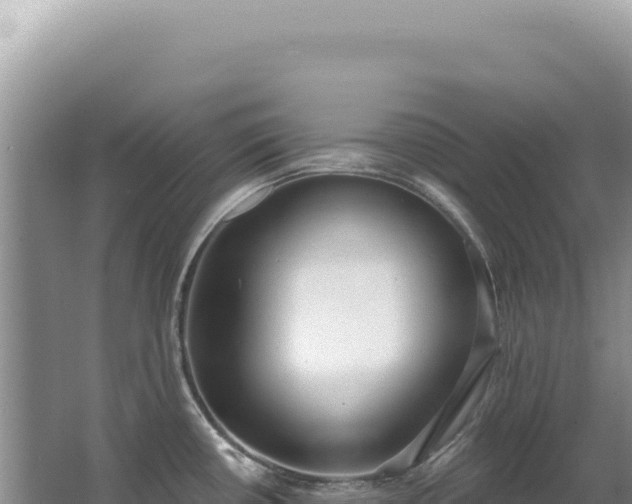 X0000062861434200601171525