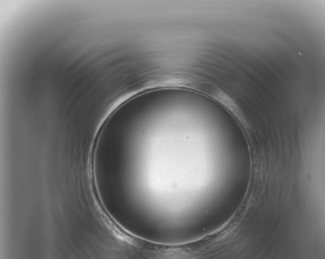 X0000062861436200601171525
