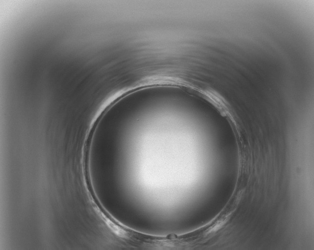 X0000062861438200601171525