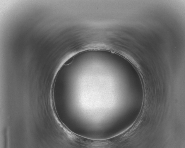 X0000062861440200601171525