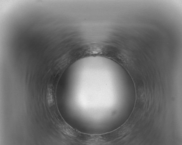 X0000062861442200601171525
