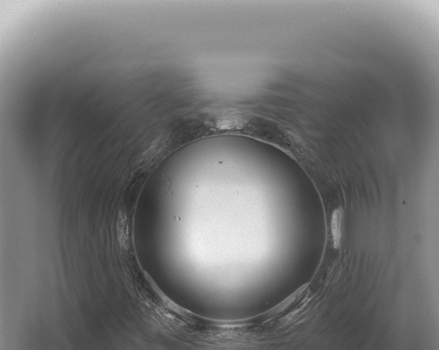 X0000062861443200601171525