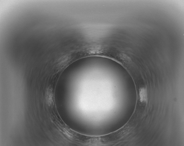 X0000062861444200601171525