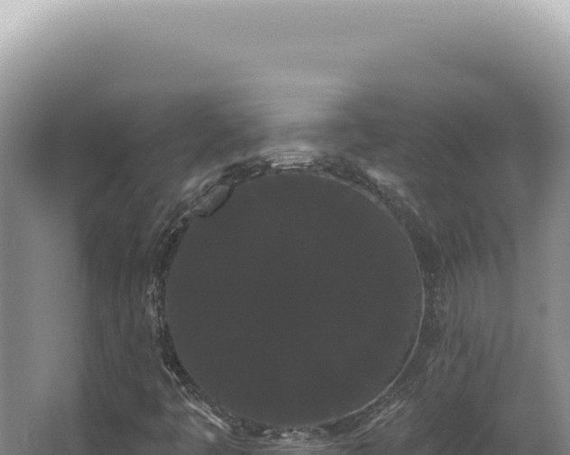 X0000062861445200601171525