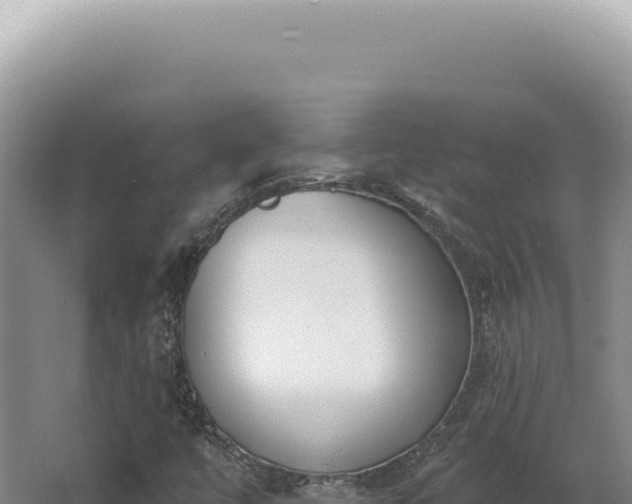 X0000062861447200601171525