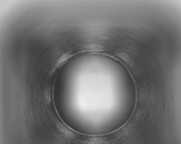 X0000062861451200601171525