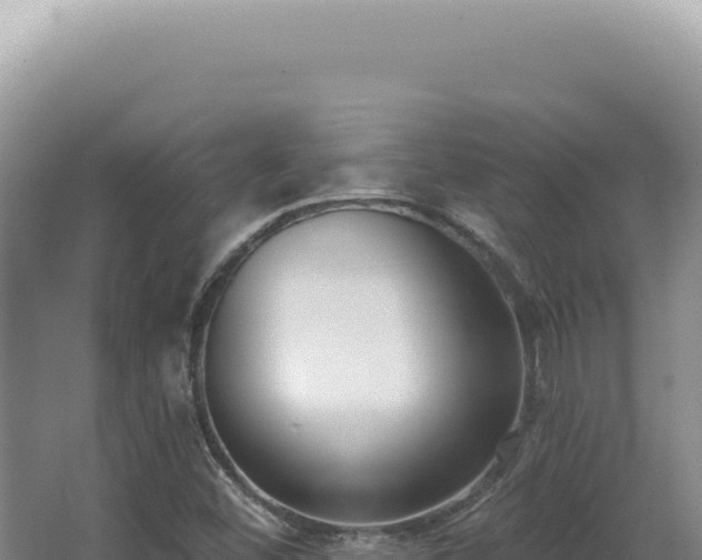 X0000062861452200601171525
