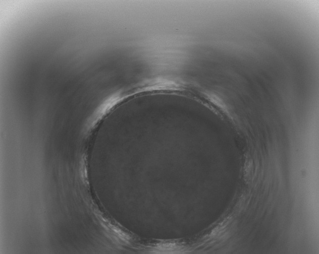 X0000062861455200601171524