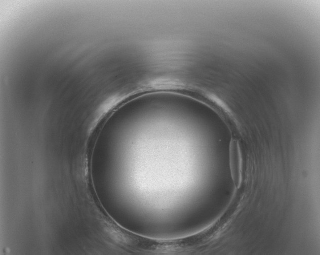 X0000062861461200601171524