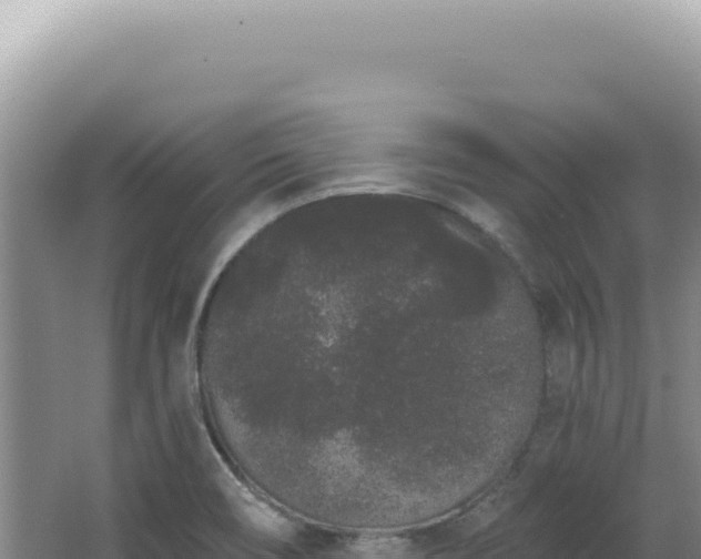 X0000062861466200601171524