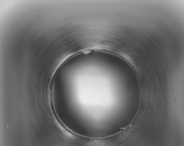 X0000062861476200601171524